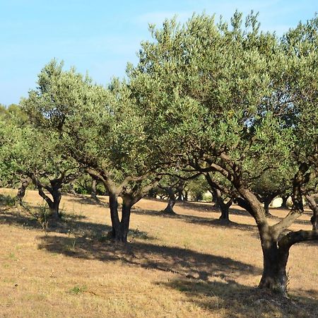 La Villa Provencale Lorgues Εξωτερικό φωτογραφία