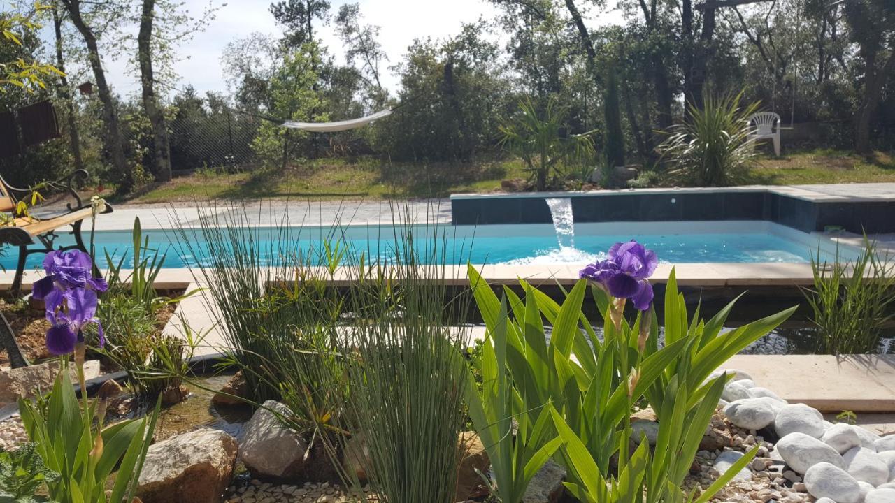 La Villa Provencale Lorgues Εξωτερικό φωτογραφία