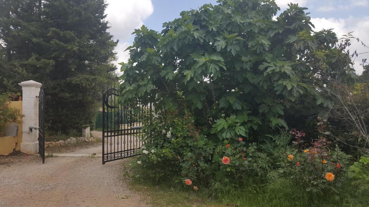 La Villa Provencale Lorgues Εξωτερικό φωτογραφία