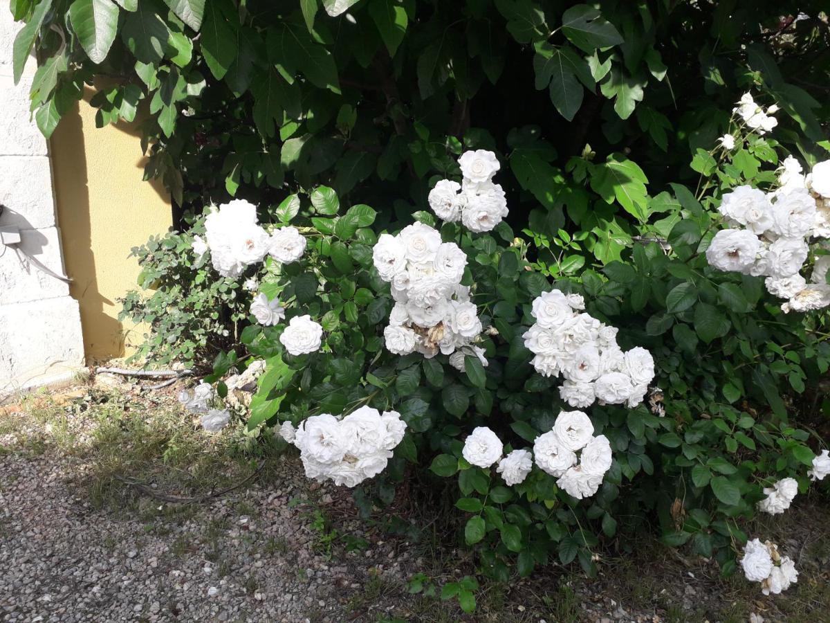 La Villa Provencale Lorgues Εξωτερικό φωτογραφία